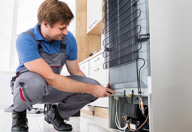 Tecnico Assistenza Frigorifero Lucca